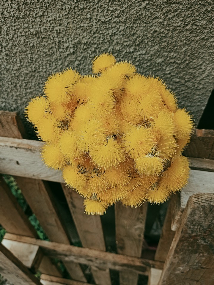 yellow