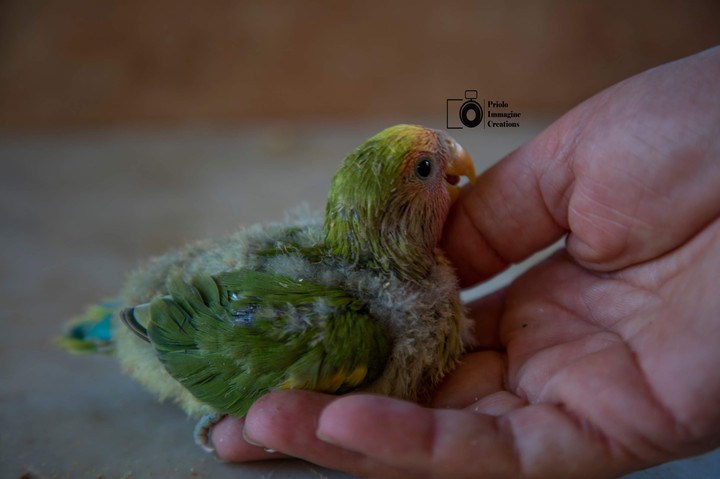 La bellezza delle piccole cose
