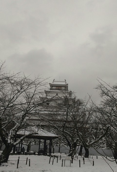 Building, plant वॉलपेपर