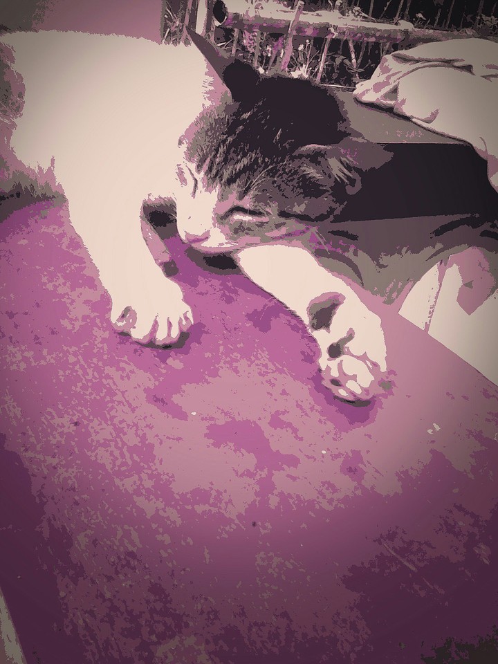 lazy