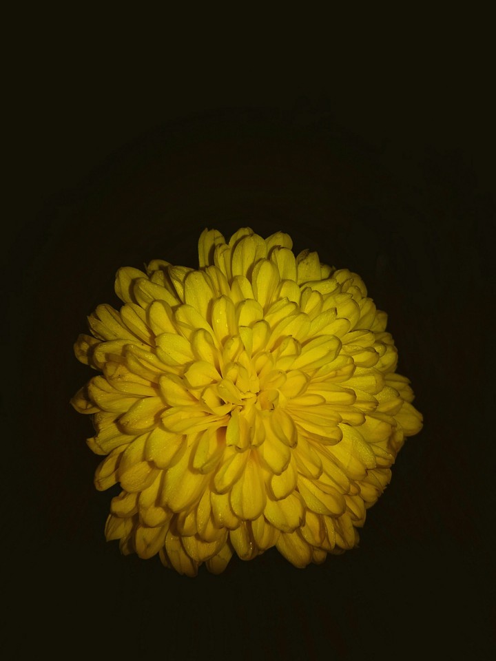 Yellow Yellow.. 