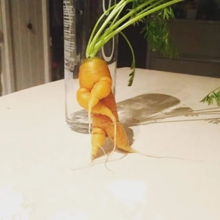 K-Rott Hip-hop Carrot