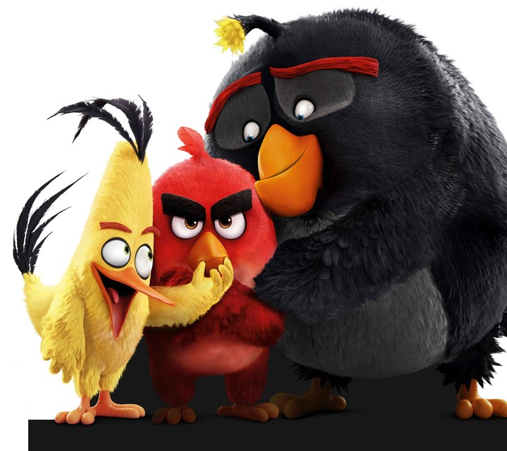 Angry Bird