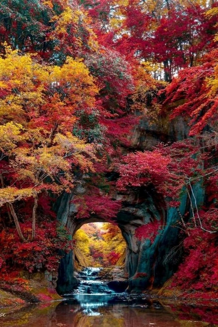 autumn