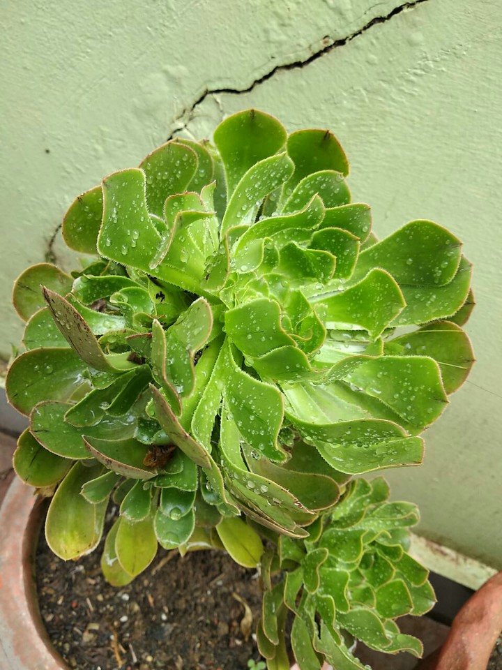 ?