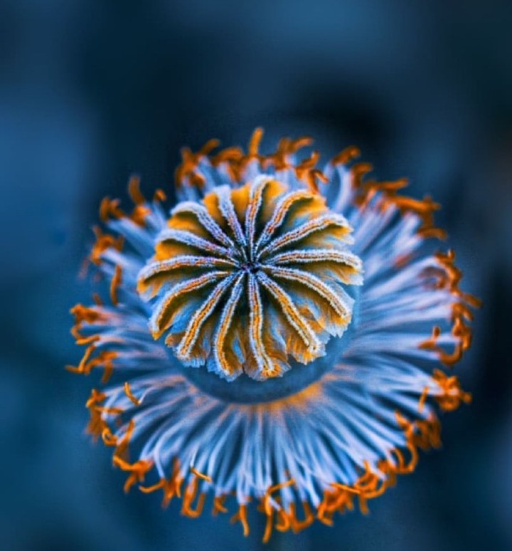 ,,,,
