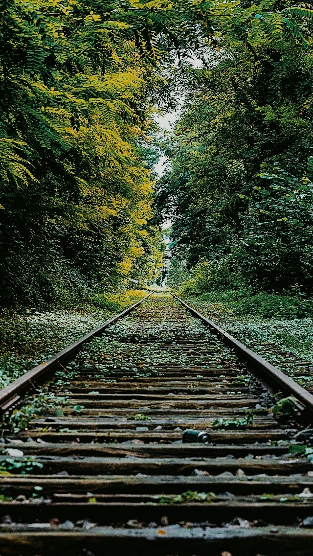 Дорога в некуда