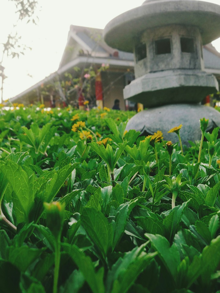 Japanese temple