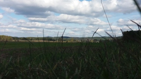 tapety area, crop