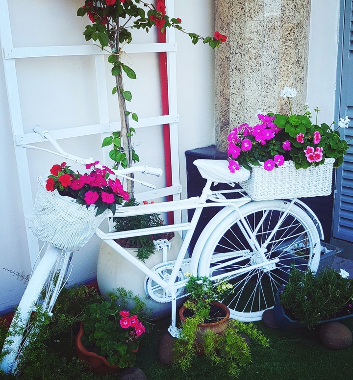 bikeflower