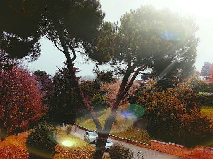 an autumn day