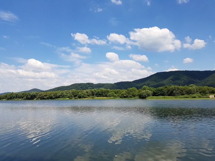 뱃터
