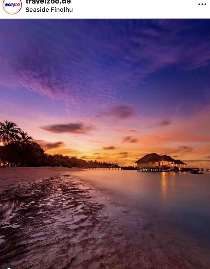 paradise