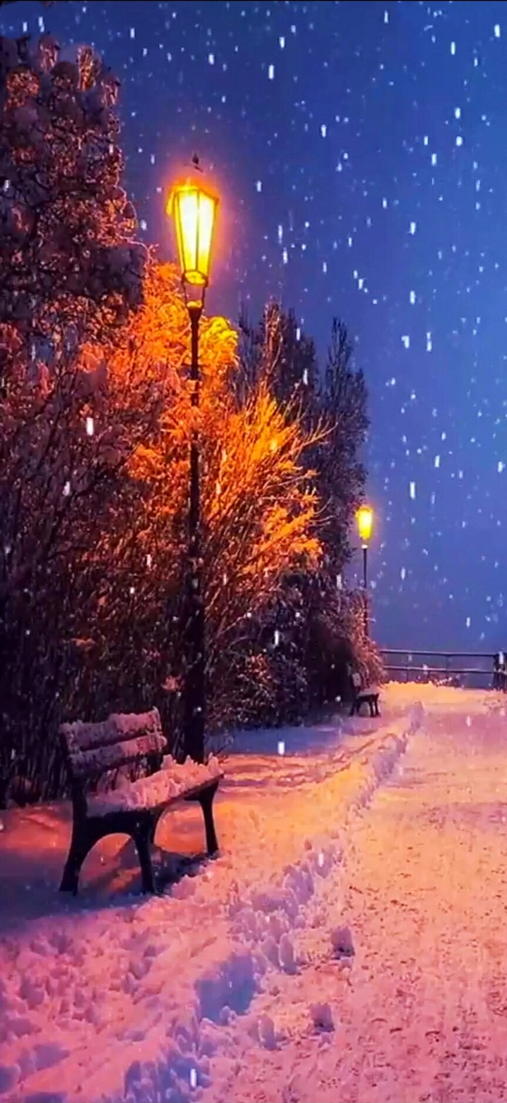 Зимний пейзаж
