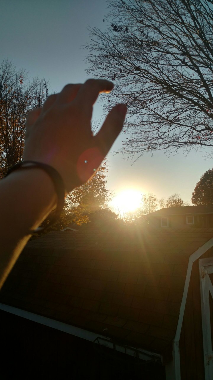 Reach for the sky