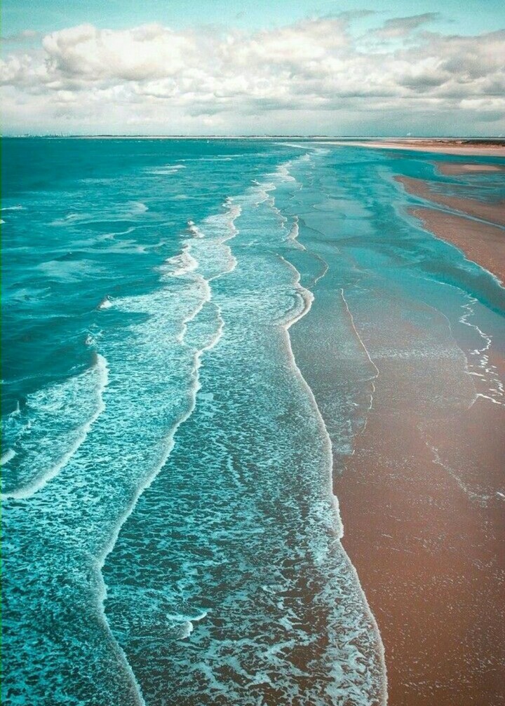 Sea