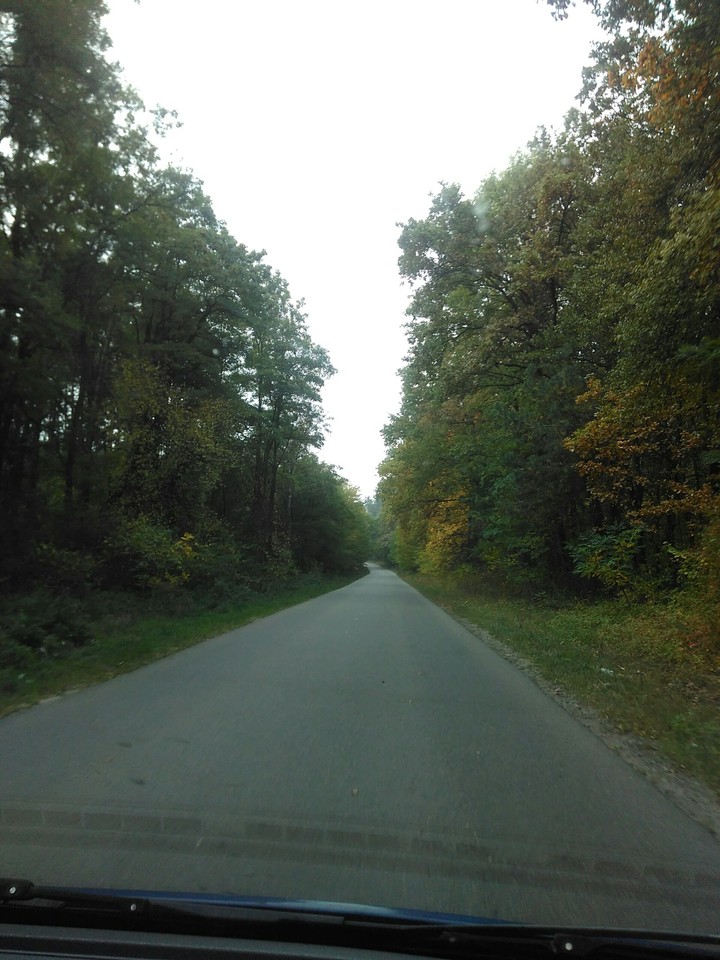 Дорога