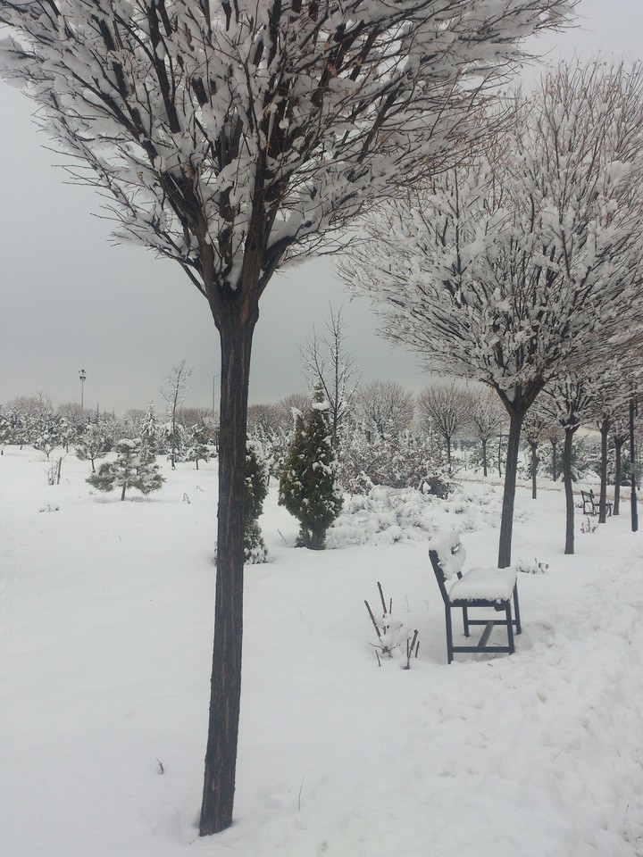 snowy day