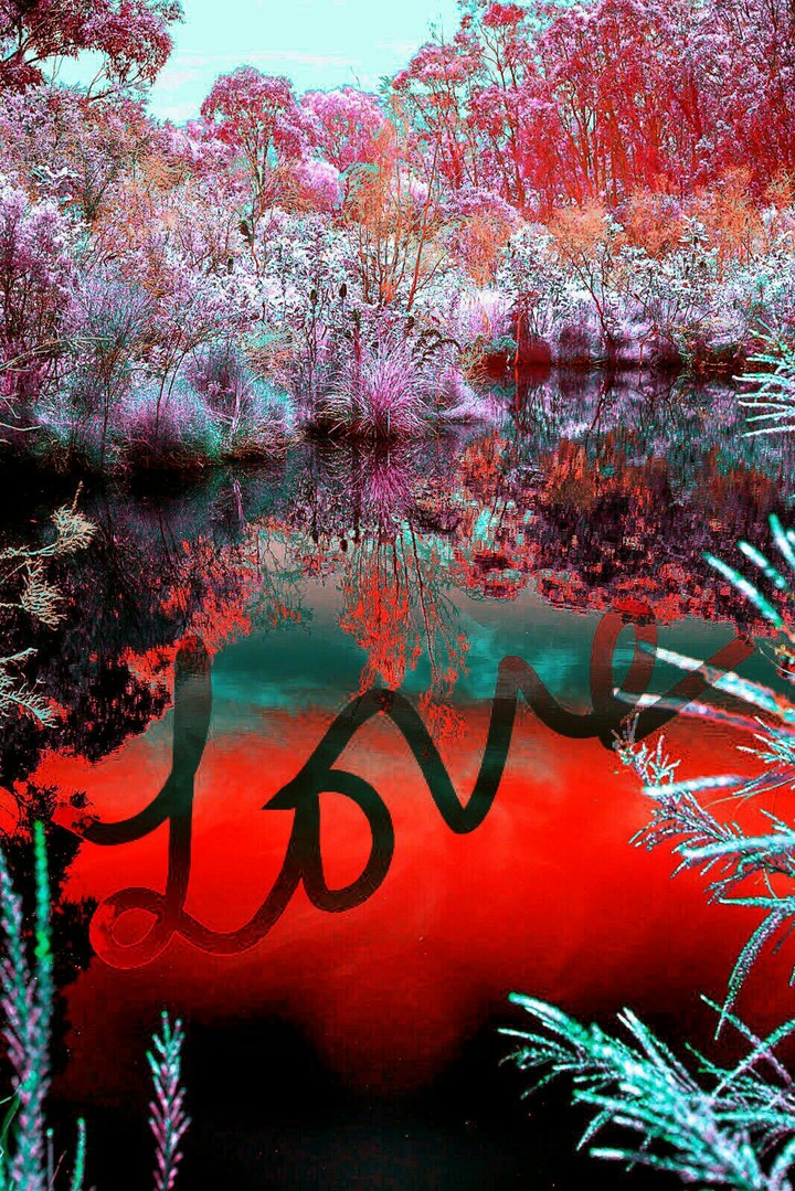 The Pond of Love