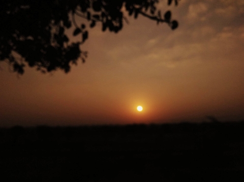 sunrise