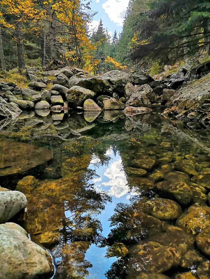 #nature