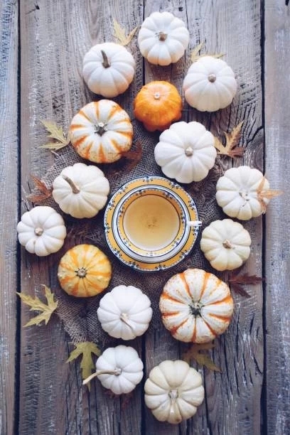 pumpkins and herbal tea