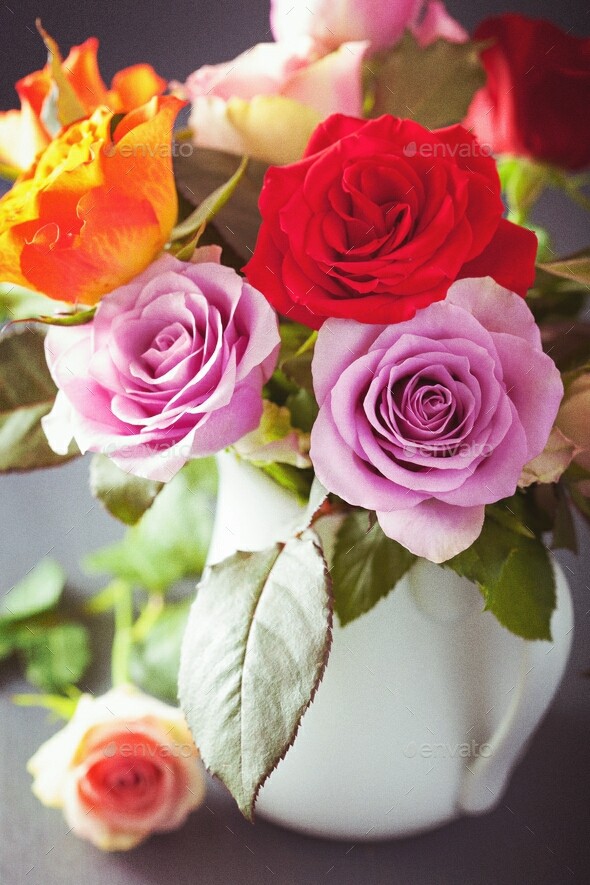for.. uu.. aji