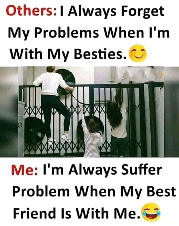 friendship