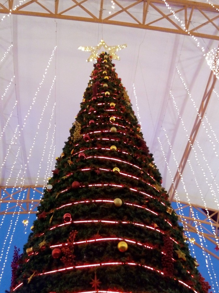 Christmas