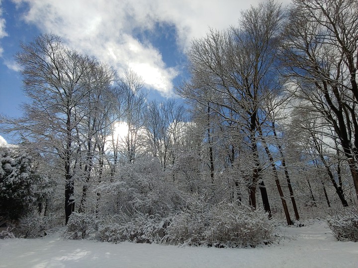 winter wonderland