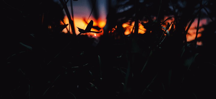 IT'S SUNSET TIME OH SORRY I MEAN IT'S LOVELY TIME