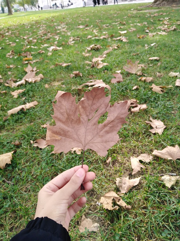 AUTUMN