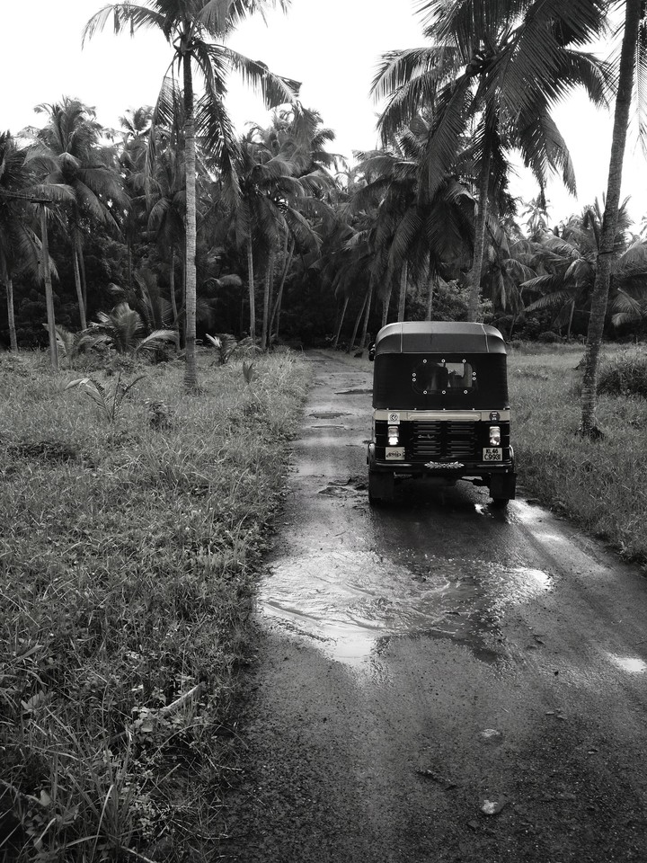 Travel