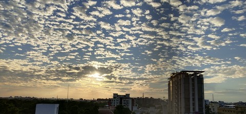 clear view