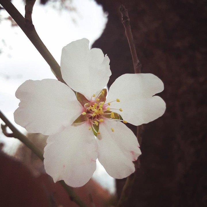Spring