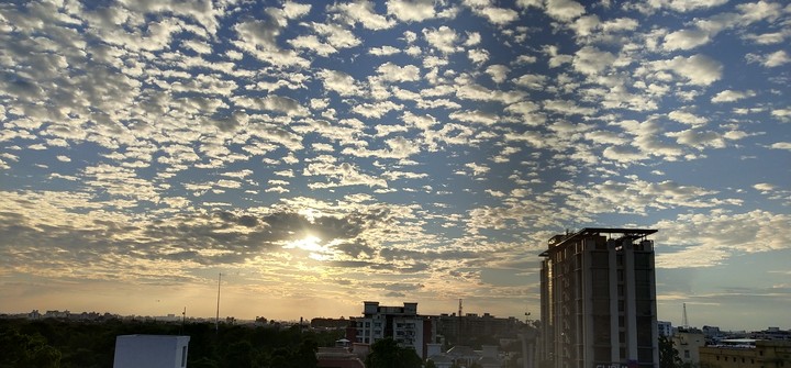 clear view