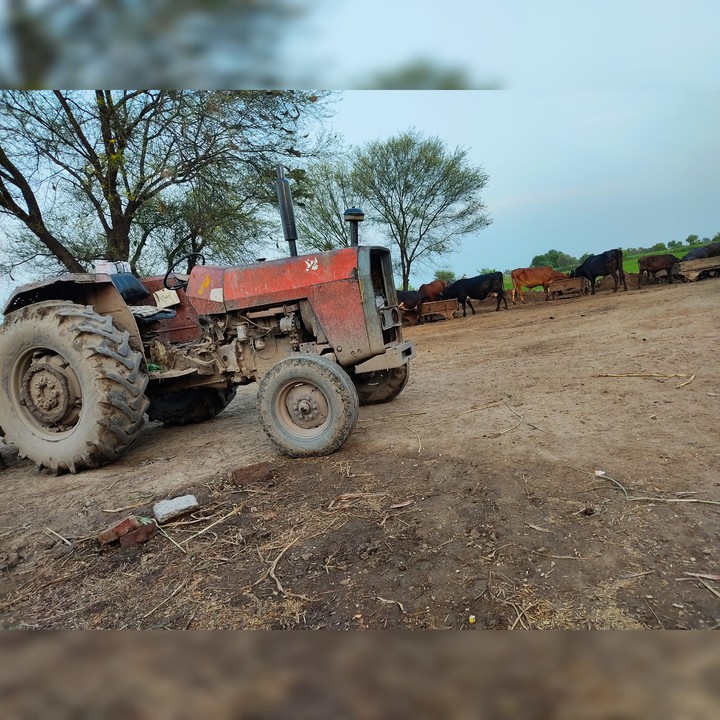 Village VIBES