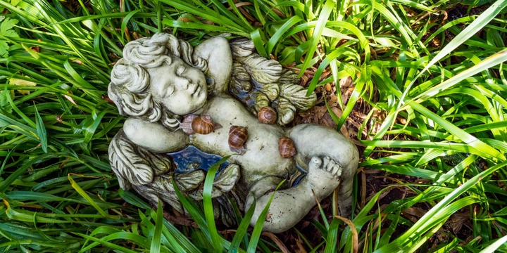 Engel im Gras