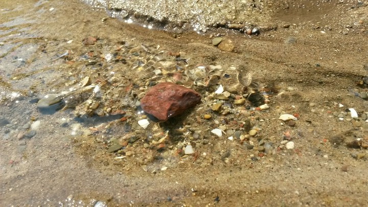wasser