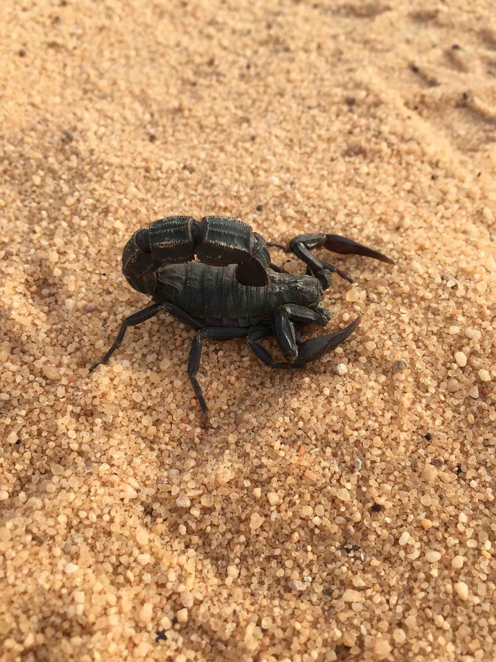 الجبل وطبيعته