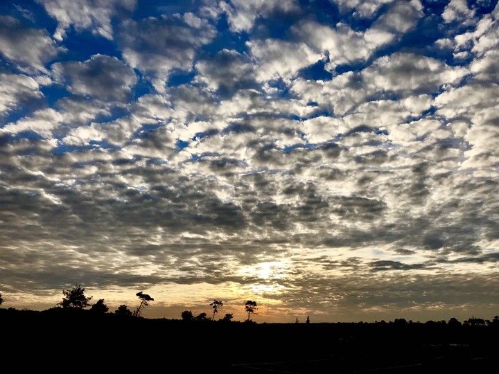 clouds in the sky