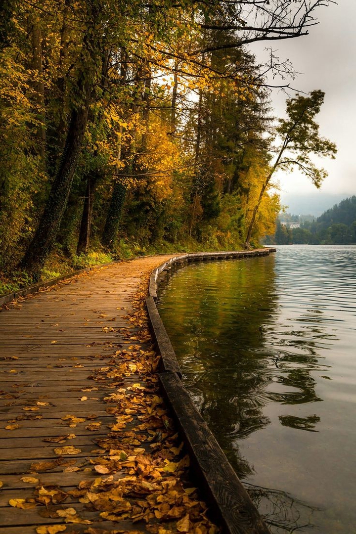 path