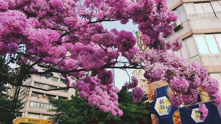 Beauty in Taichung, Taiwan