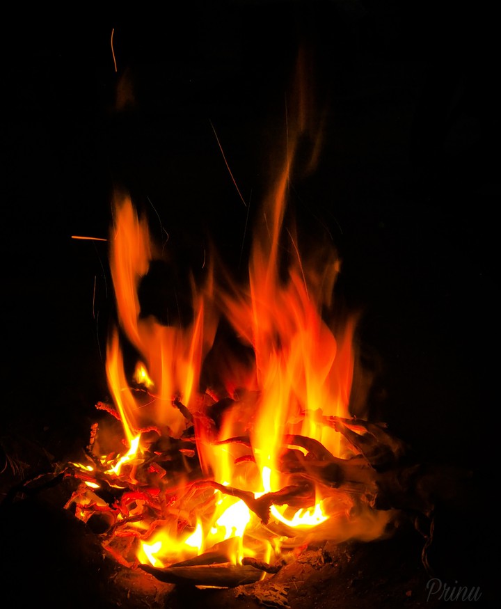 Fire