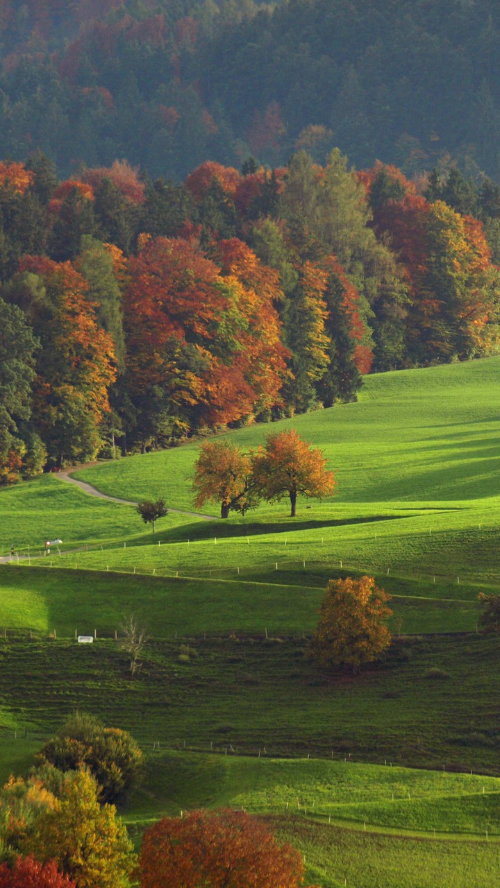 Mountain Vally