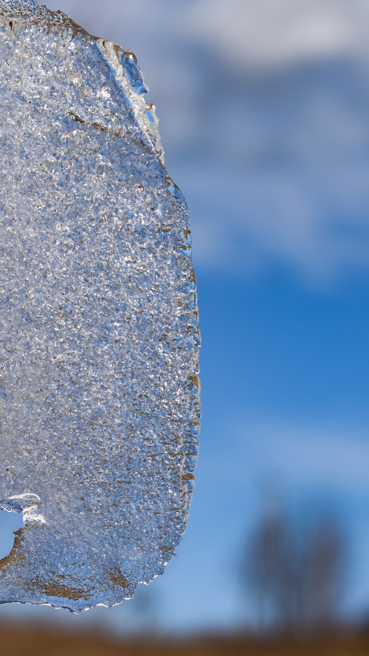 ice