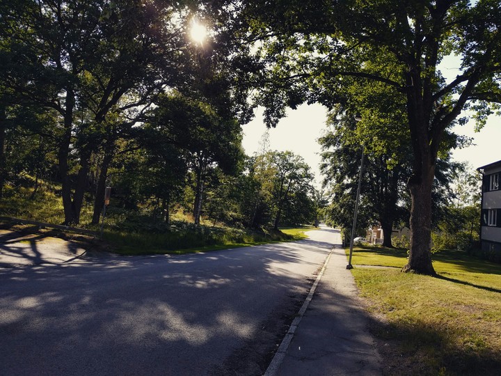 Swedish road in the summer