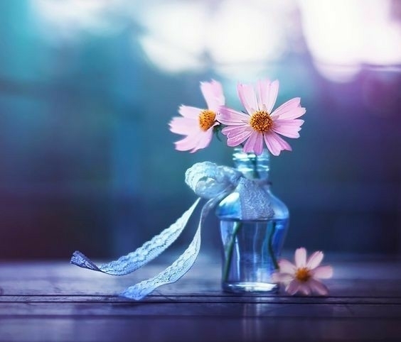 Delicadeza.