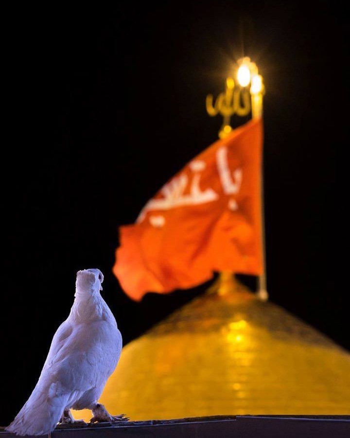 میلاد با سعادت علی اصغر ارباب مبارک باد .