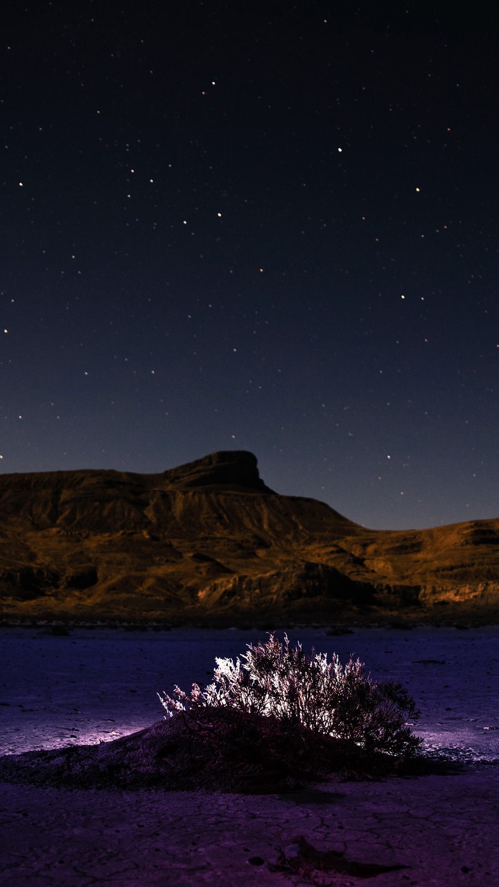 purple night